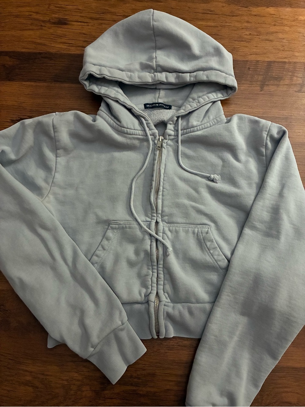 Periwinkle Brandy Melville Crystal hoodie